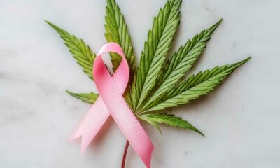 Cancer du sein et cannabis