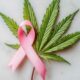 Cancer du sein et cannabis