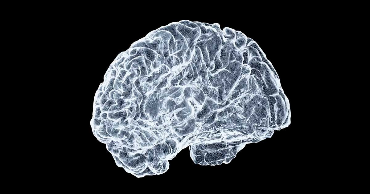 CBN et Alzheimer