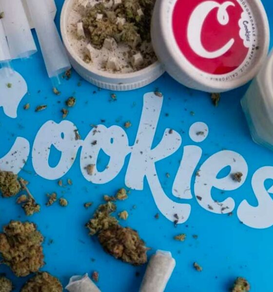 Cookies condamné à une amende