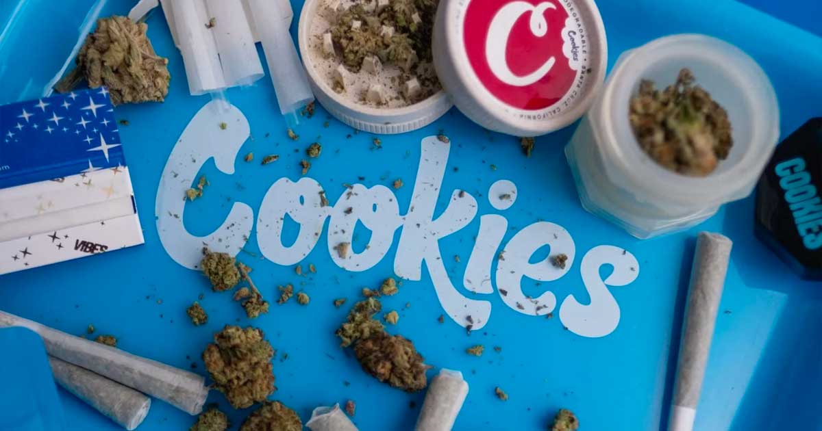 Cookies condamné à une amende