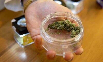 Distribution of Cannabis in Pharmacies in Switzerland