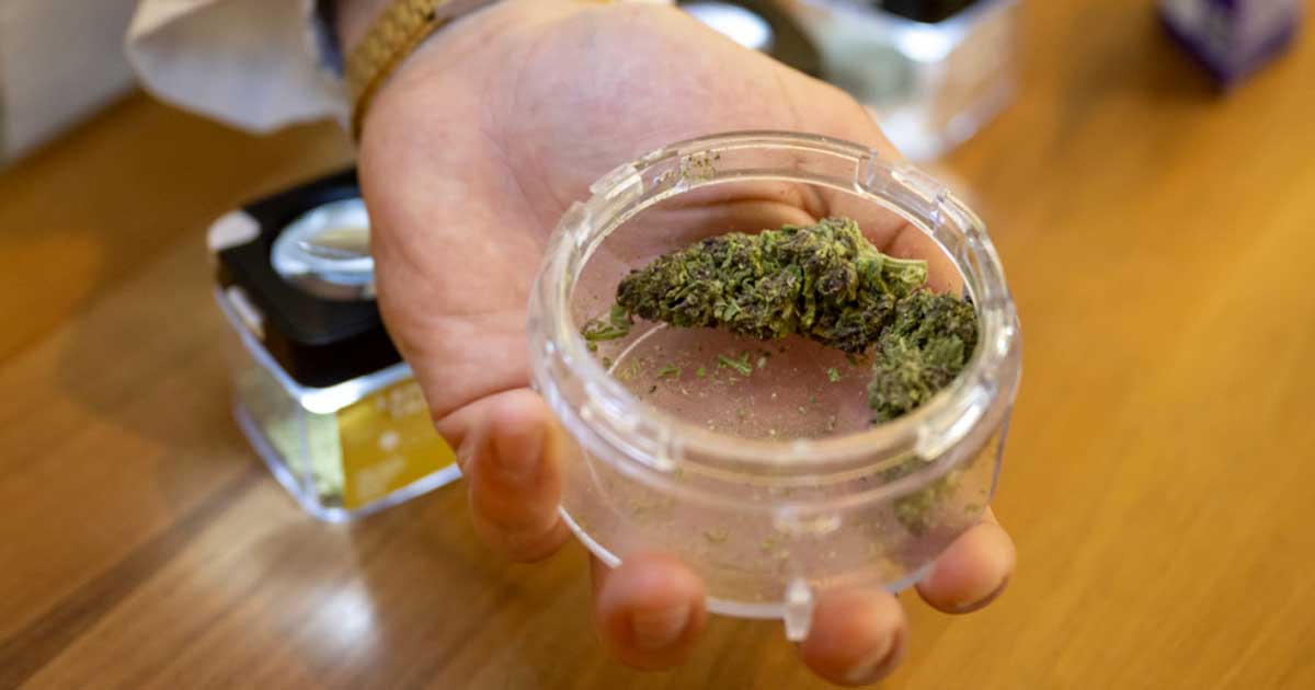 Distribution of Cannabis in Pharmacies in Switzerland