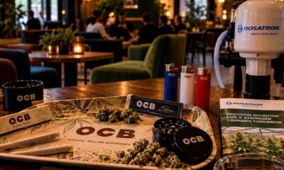 Entreprises françaises du cannabis à l'étranger