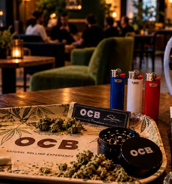Entreprises françaises du cannabis à l'étranger