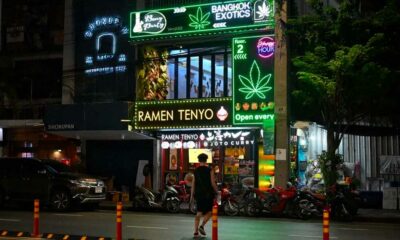 La Thaïlande mise sur le cannabis médical