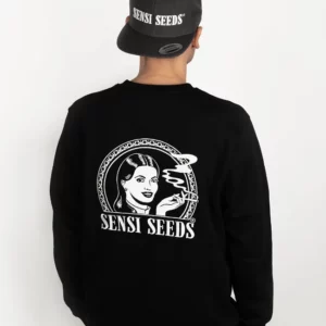 Pull molletonné classique au logo brodé, Noir, XS