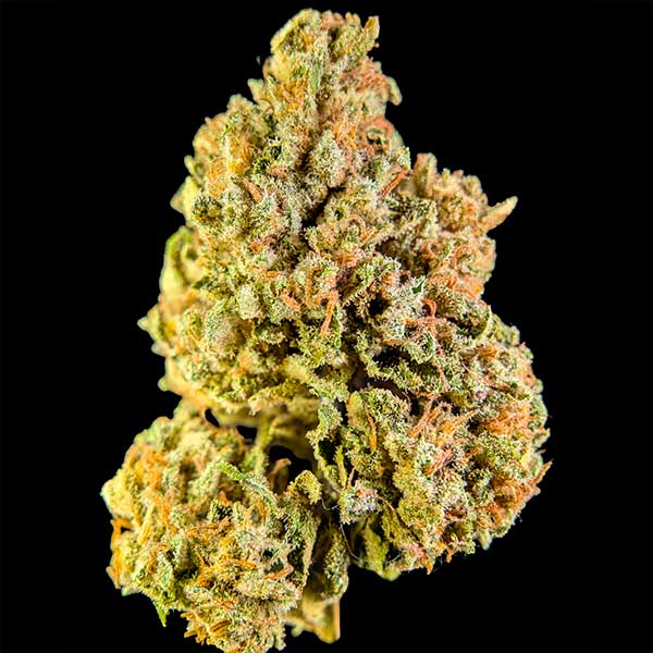 Sweet Frost di Cannapache