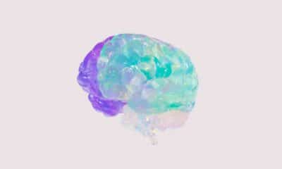 Effects of Cannabis on the Adolescent Brain