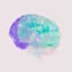 Effects of Cannabis on the Adolescent Brain