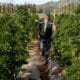 Loi sur le cannabis médical à Chubut (Argentine)