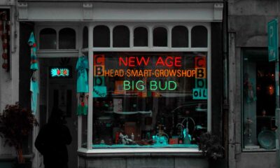 Our Tips for Finding a Reliable CBD Store