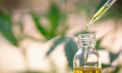 EFSA and Synthetic CBD