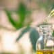 EFSA and Synthetic CBD