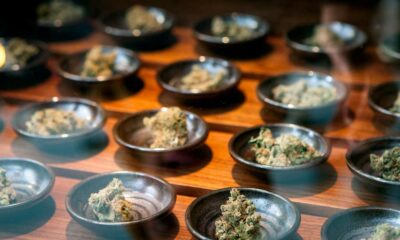 Medical Cannabis Companies in the U.S.