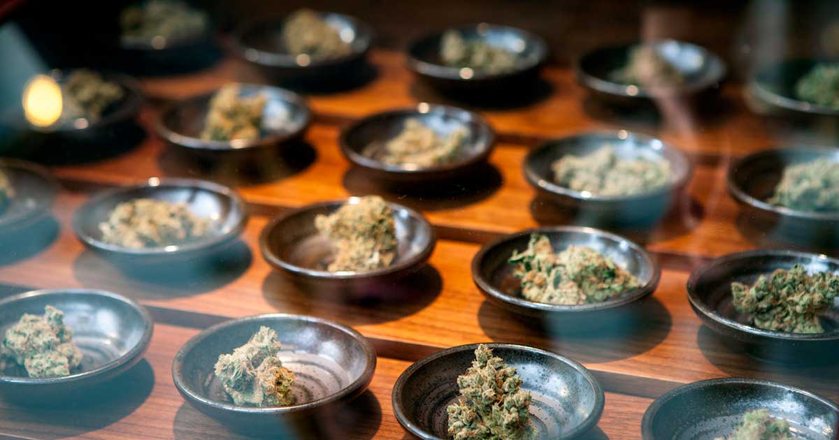 Medical Cannabis Companies in the U.S.