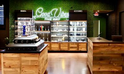 Massachusetts Voters Want to Keep Cannabis Legal